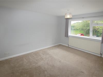 Picture 24
